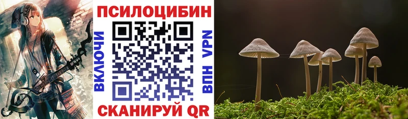 Галлюциногенные грибы мицелий  Рассказово 