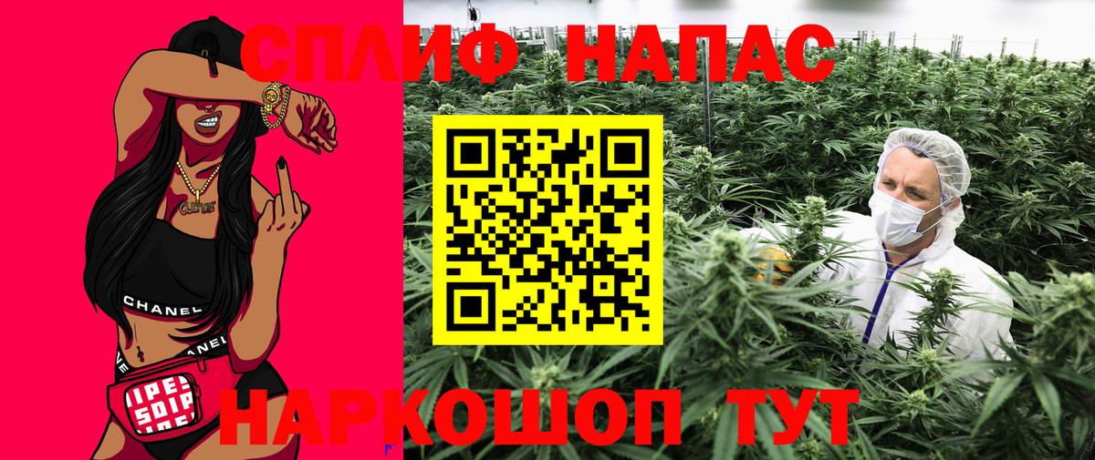 Конопля план Рассказово